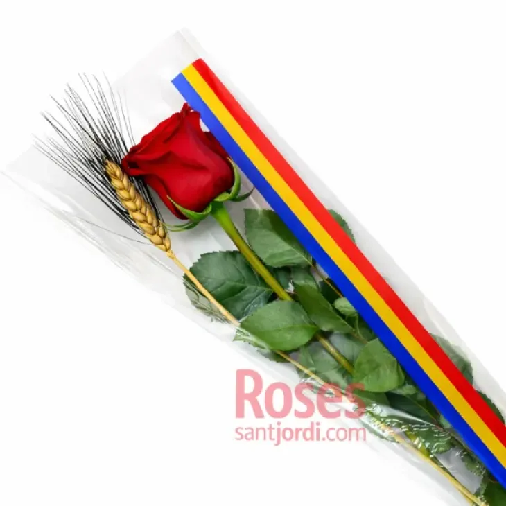 Rosas Montadas 50 ud. ANDORRA