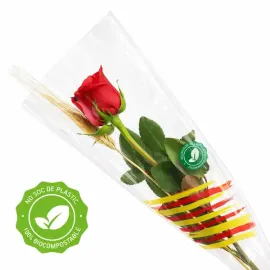 ROSAS SIN PLÁSTICOS