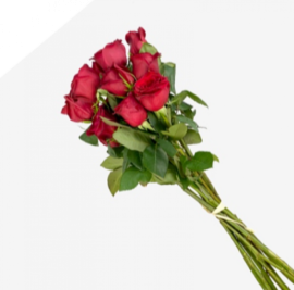 Rosas Todo el Año (NO Sant Jordi)
