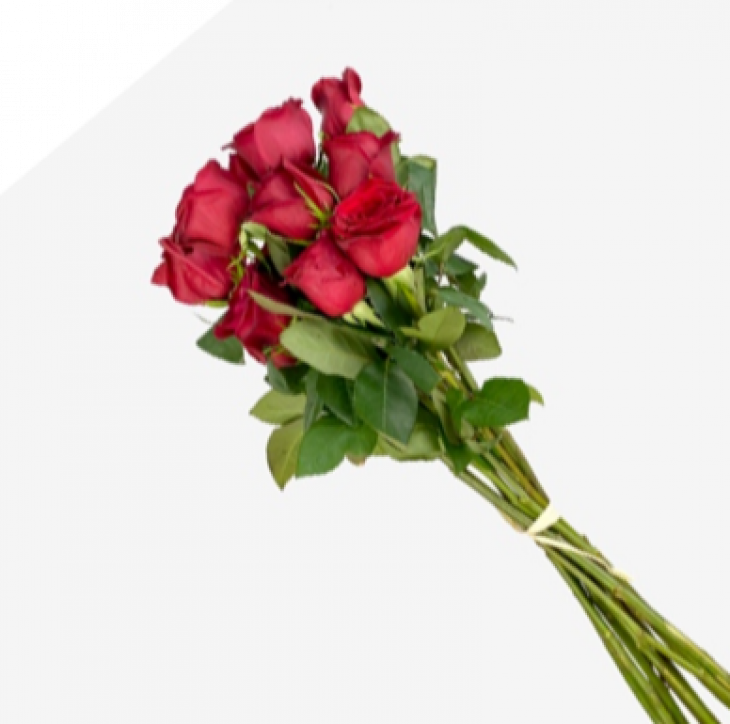 Rosas Todo el Año (NO Sant Jordi)