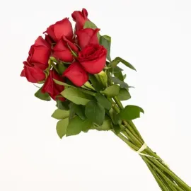 Roses a l'engròs