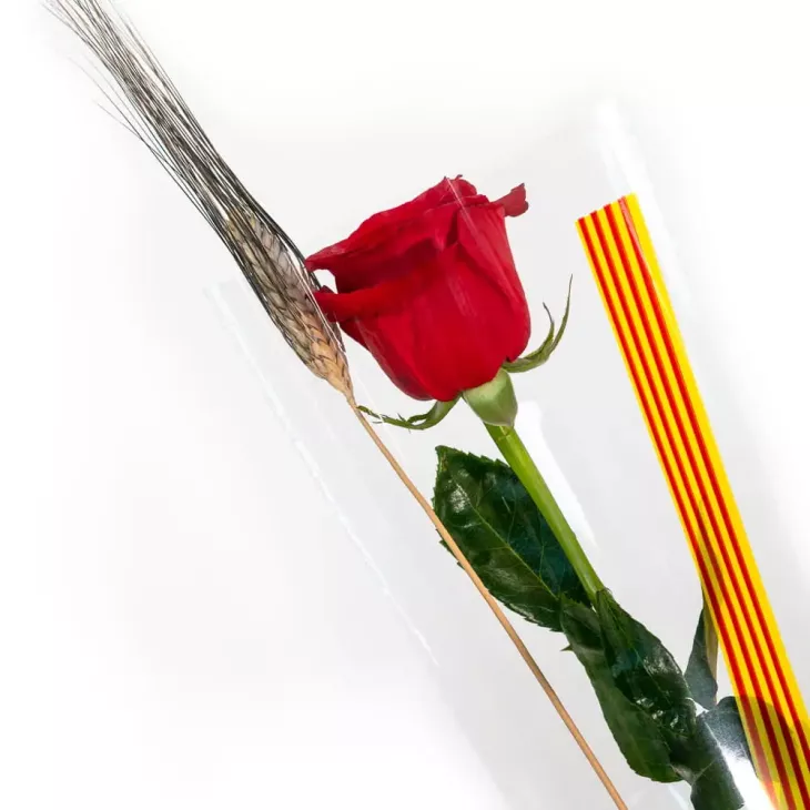 ROSA SANT JORDI