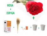 Rosa + Espigas, cubetas, lazo y expositor (Sin bolsa)