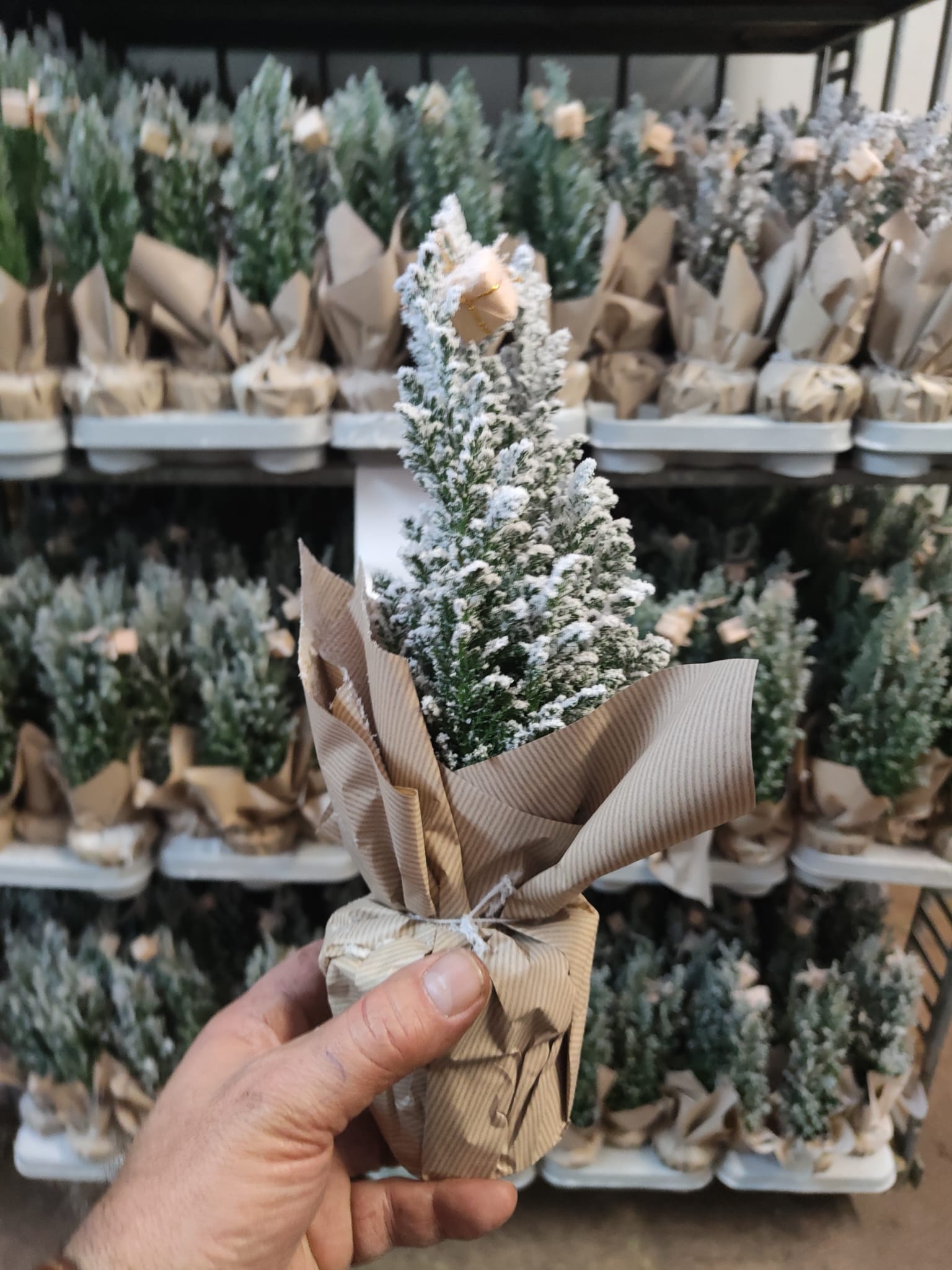Mini Sapin De Noël EVERLANDS 35 Cm - 35 Branches, Déco De Table Ou Petite Déco Murale - 4