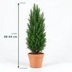 MINI ARBRE DE NADAL NATURAL (VERD)