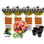 Pack TOT INCLOS (roses sense muntar + complements)