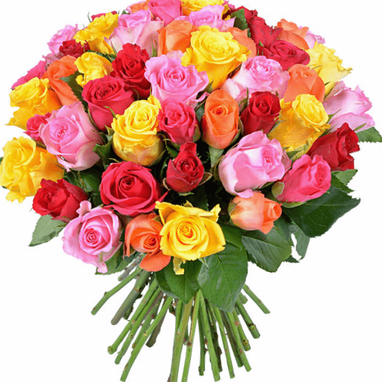 Top 100 rosas de colores png