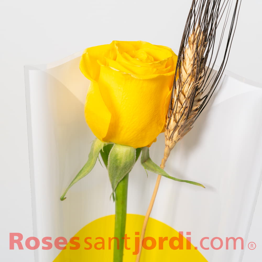 Plantas y flores artificiales ceragi Rosa preservada Sant Jordi 