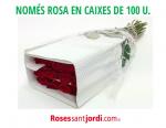 Només la rosa, sense complements, poms de 25 u.