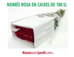 Només la rosa, sense complements, poms de 25 u. per Sant Valentí