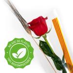 Rosa ja muntada (bossa BIODEGRADABLE)