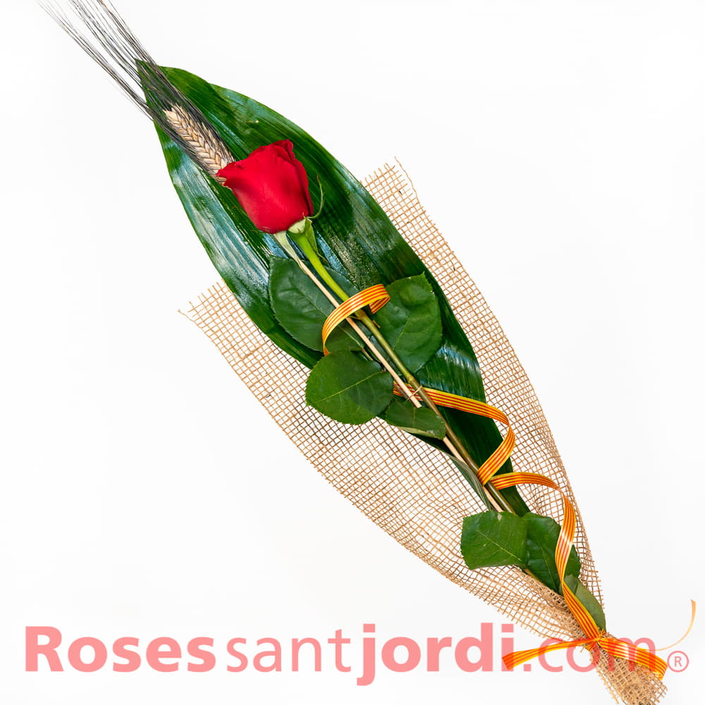 Rosa de Sant jordi Precio Rosa pro