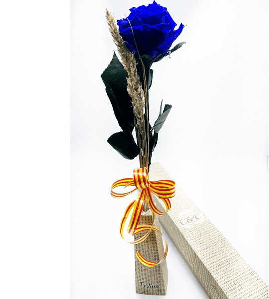 Rosa eterna azul de sant jordi