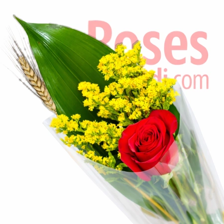 Rosa Princesa de Sant Jordi