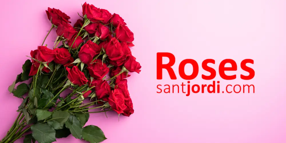 Rosas al por mayor
