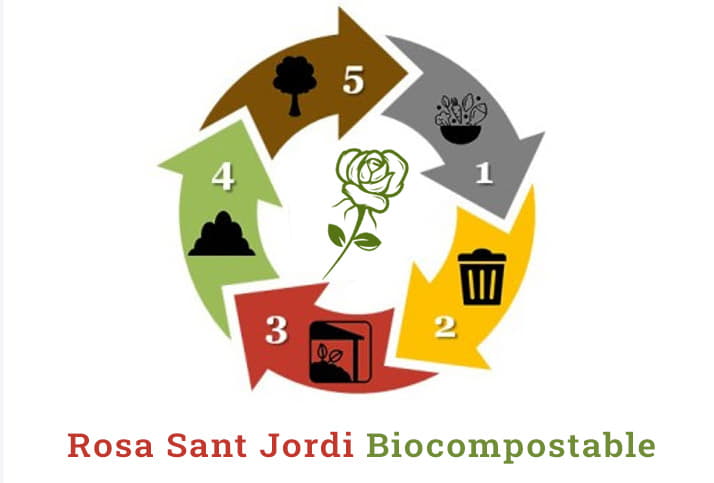 Rosa Sant Jordi Biocompostable