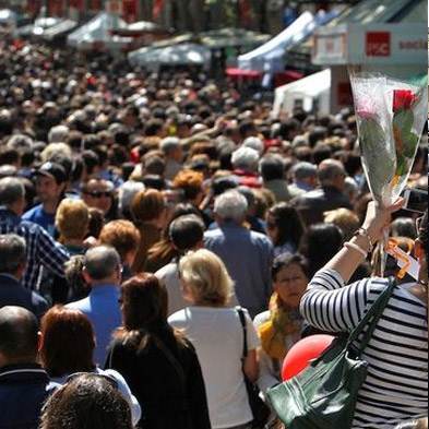 Rosas Sant Jordi - El Prat de Llobregat - Permisos