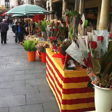 Roses Sant Jordi - Sant Cugat - Permisos