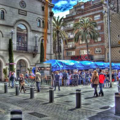 Rosas Sant Jordi - Badalona - Permisos