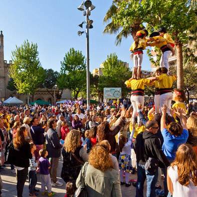 Rosas Sant Jordi - Castelldefels - Permisos