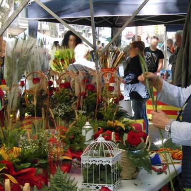 Rosas Sant Jordi - Figueres - Permisos