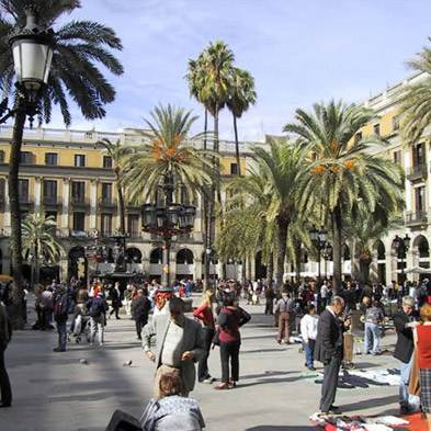 Rosas Sant Jordi - L' Hospitalet de Llobregat - Permisos