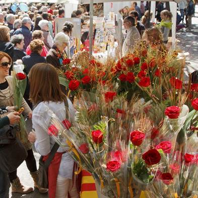 Rosas Sant Jordi - Lleida - Permisos