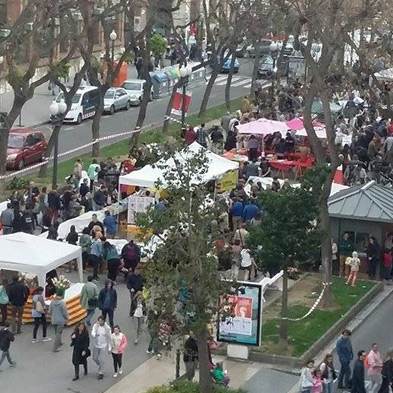 Rosas Sant Jordi - Tarragona - Permisos