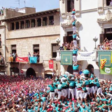 Rosas Sant Jordi - Vilafranca del Penedès - Permisos