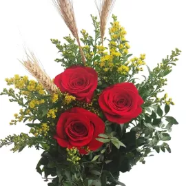 Envía 3 Rosas Sant Jordi