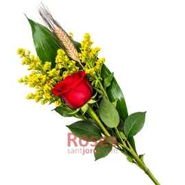 Envía una Rosa de Sant Jordi